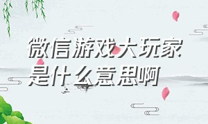 微信游戏大玩家是什么意思啊