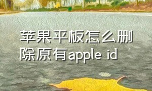 苹果平板怎么删除原有apple id