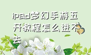 ipad梦幻手游五开教程怎么进不去