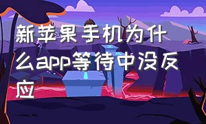 新苹果手机为什么app等待中没反应