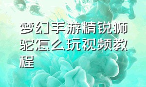 梦幻手游精锐狮驼怎么玩视频教程