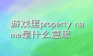 游戏里property name是什么意思