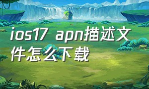 ios17 apn描述文件怎么下载