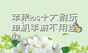 苹果ios十大耐玩单机手游不用连网