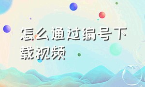 怎么通过编号下载视频