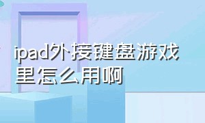 ipad外接键盘游戏里怎么用啊