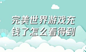 完美世界游戏充钱了怎么看得到