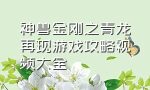 神兽金刚之青龙再现游戏攻略视频大全