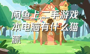 闲鱼上二手游戏本电脑有什么猫腻