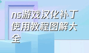 ns游戏汉化补丁使用教程图解大全