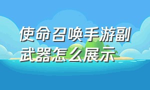 使命召唤手游副武器怎么展示