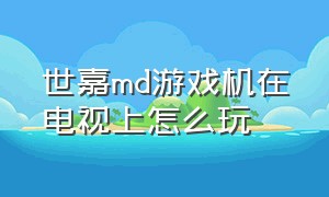 世嘉md游戏机在电视上怎么玩