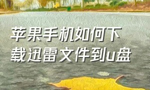 苹果手机如何下载迅雷文件到u盘