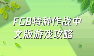 FGB特种作战中文版游戏攻略