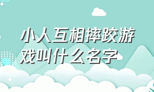 小人互相摔跤游戏叫什么名字