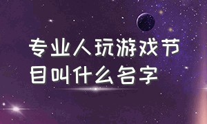 专业人玩游戏节目叫什么名字