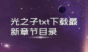 光之子txt下载最新章节目录