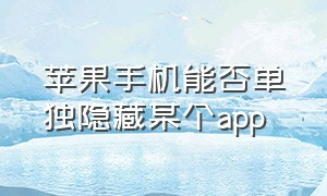 苹果手机能否单独隐藏某个app