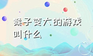 猴子变大的游戏叫什么