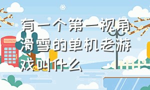 有一个第一视角滑雪的单机老游戏叫什么