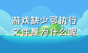 游戏缺少可执行文件是为什么呢