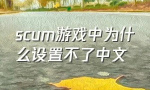 scum游戏中为什么设置不了中文
