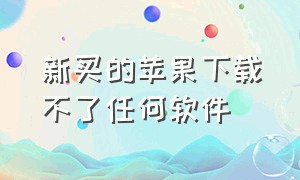 新买的苹果下载不了任何软件