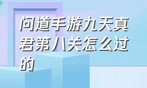 问道手游九天真君第八关怎么过的