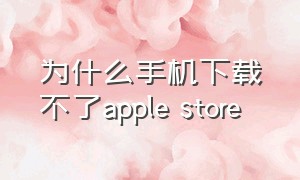 为什么手机下载不了apple store