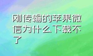 刚传输的苹果微信为什么下载不了