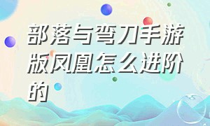 部落与弯刀手游版凤凰怎么进阶的