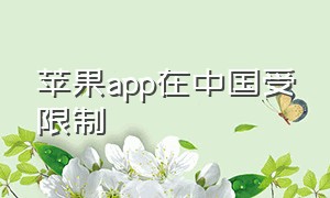 苹果app在中国受限制