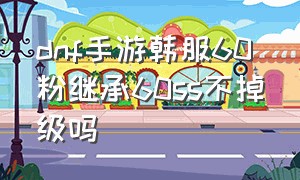 dnf手游韩服60粉继承60ss不掉级吗