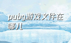 pubg游戏文件在哪儿