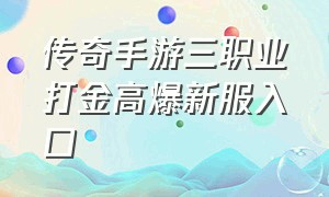 传奇手游三职业打金高爆新服入口