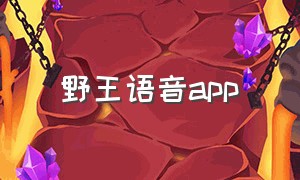 野王语音app