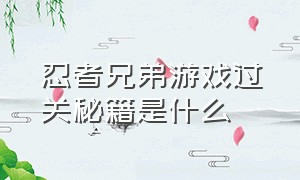 忍者兄弟游戏过关秘籍是什么