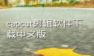 capcut剪辑软件下载中文版