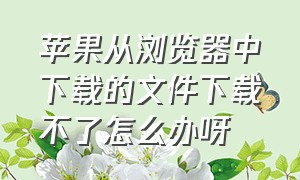 苹果从浏览器中下载的文件下载不了怎么办呀