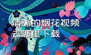 清晰的烟花视频去哪里下载