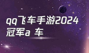 qq飞车手游2024冠军a 车