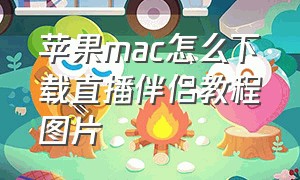 苹果mac怎么下载直播伴侣教程图片