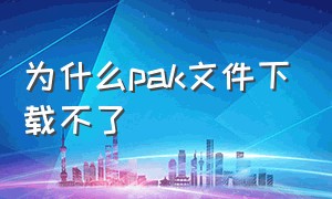 为什么pak文件下载不了