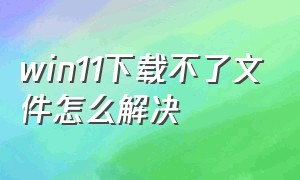 win11下载不了文件怎么解决