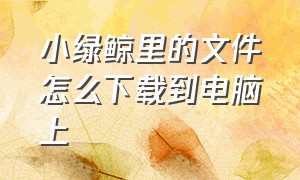 小绿鲸里的文件怎么下载到电脑上