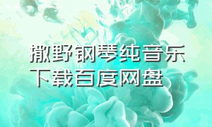 撒野钢琴纯音乐下载百度网盘