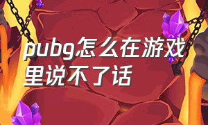 pubg怎么在游戏里说不了话