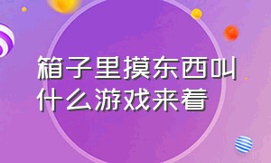 箱子里摸东西叫什么游戏来着