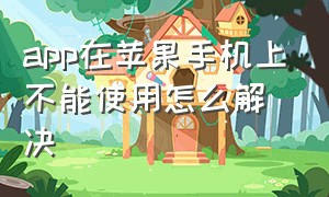 app在苹果手机上不能使用怎么解决