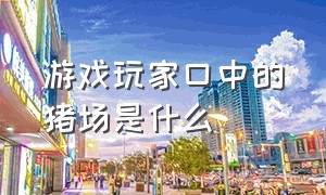 游戏玩家口中的猪场是什么